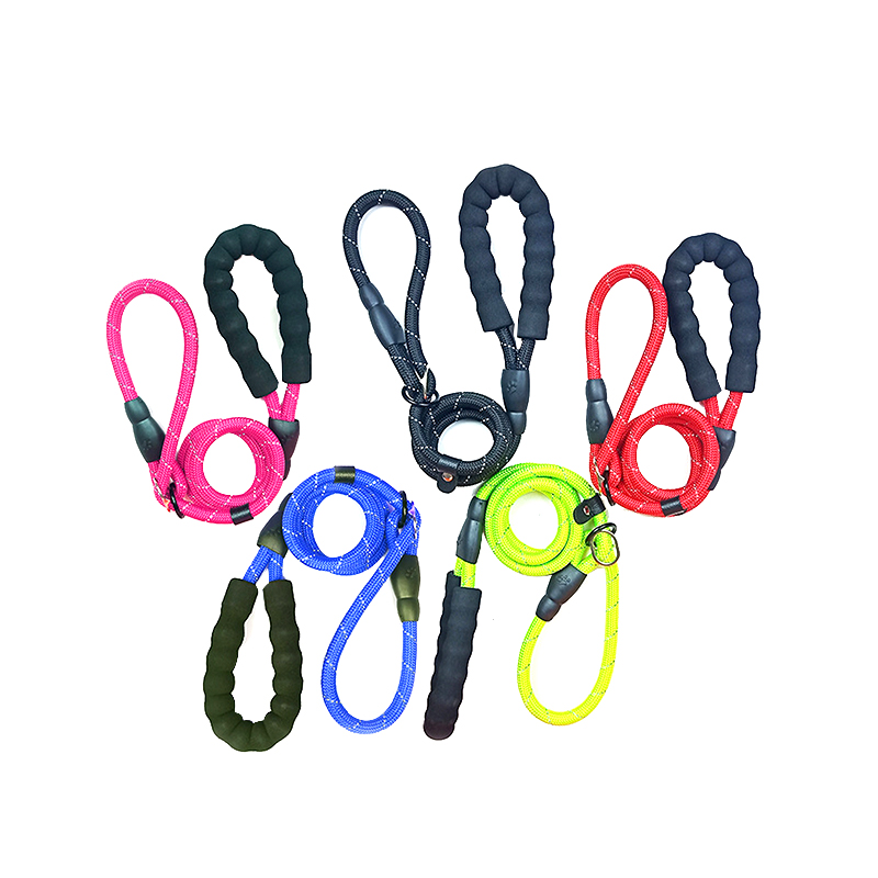 Pet training leash P chain